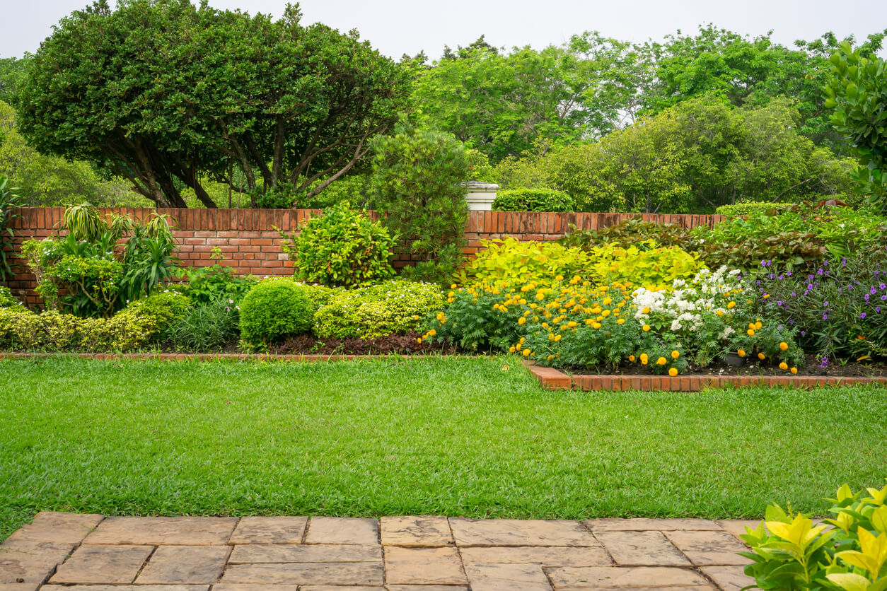Quitar la humedad de casa con plantas – Plantas y Jardines