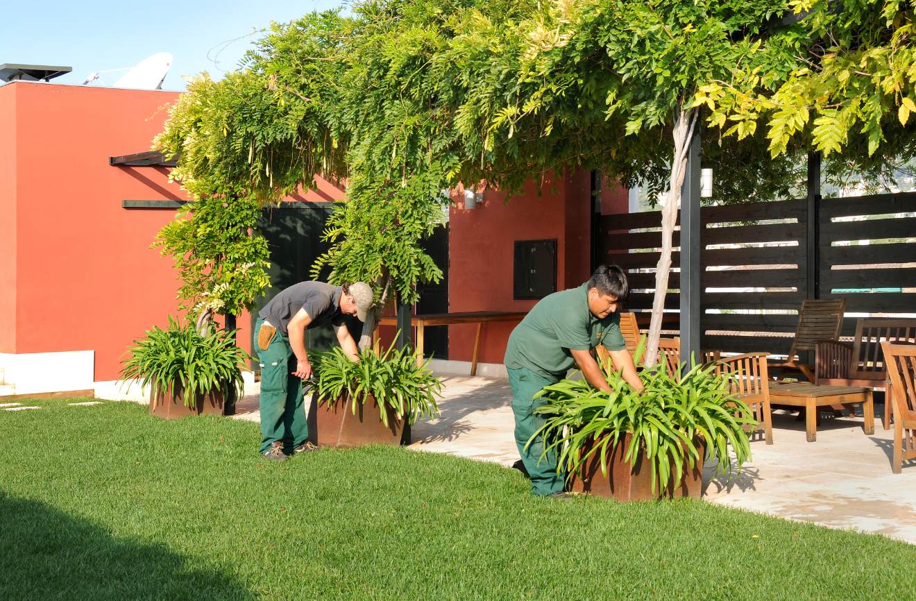 tareas de mantenimiento en jardines particulares